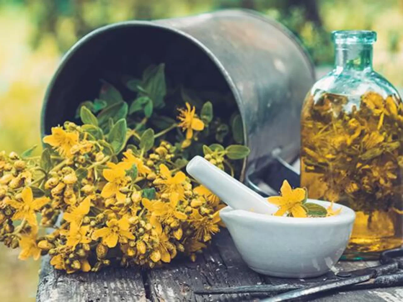 Kantaron Yağının Ruh Sağlığı İle İlgili Yararları