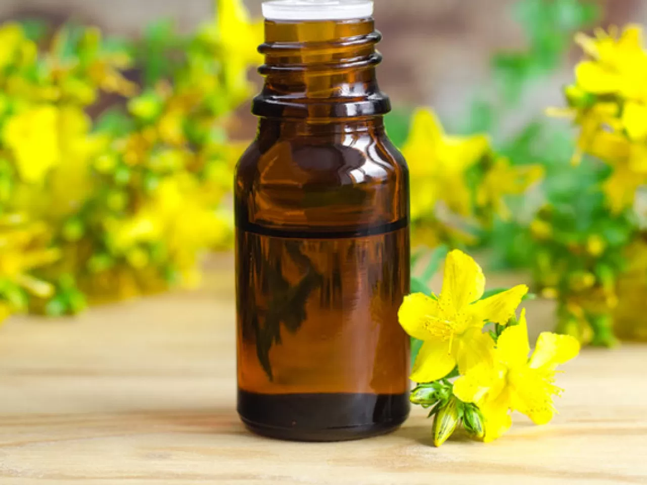 Kantaron Yağının Cilt Bakımı ve Sağlığı İle İlgili Yararları