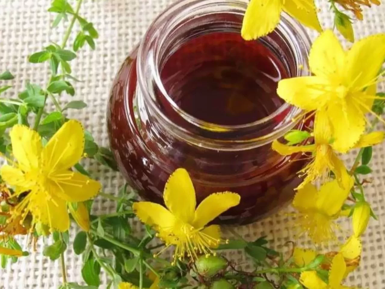 Kantaron Yağı İçeren Ürünleri Kullanırken Dikkat Edilmesi Gerekenler