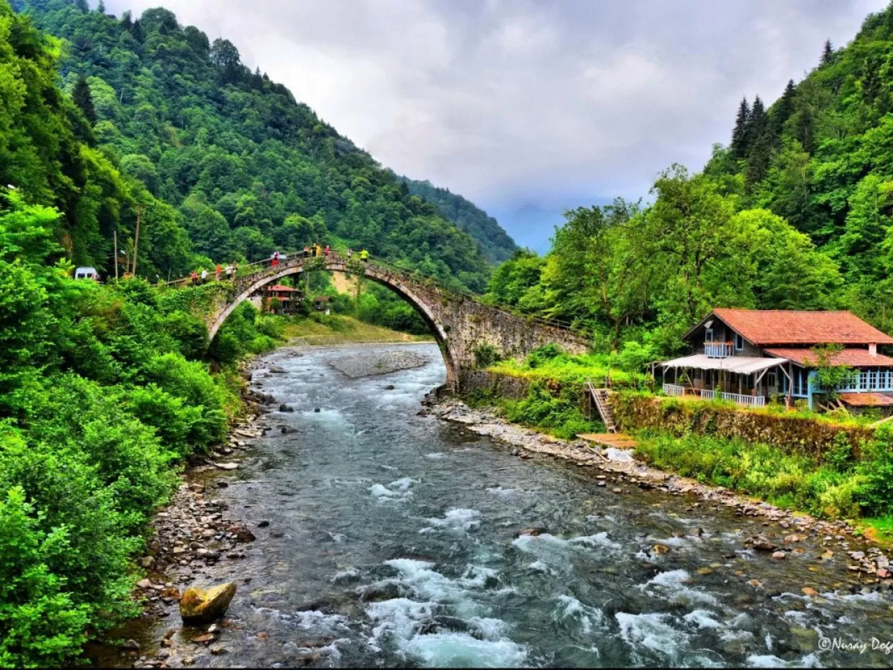 Rize