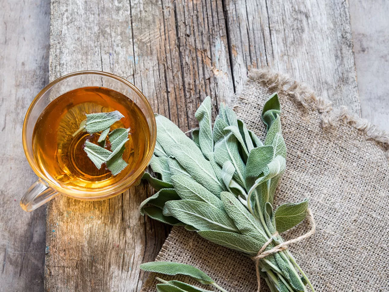 Adaçayının Faydaları