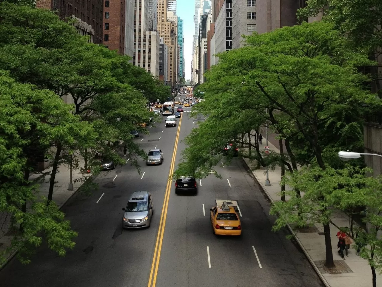 Ağaçlar, şehirleri ve sokakları serinletebilir.