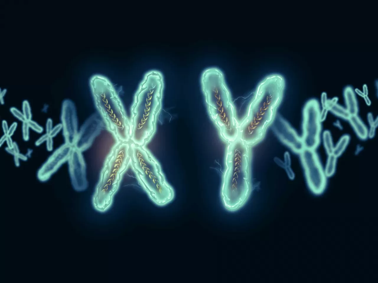 Kromozom Farklılıkları