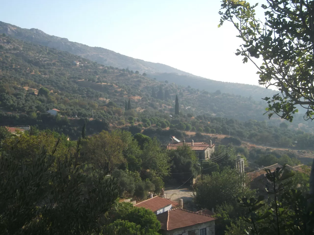 Güllübahçe Köyü