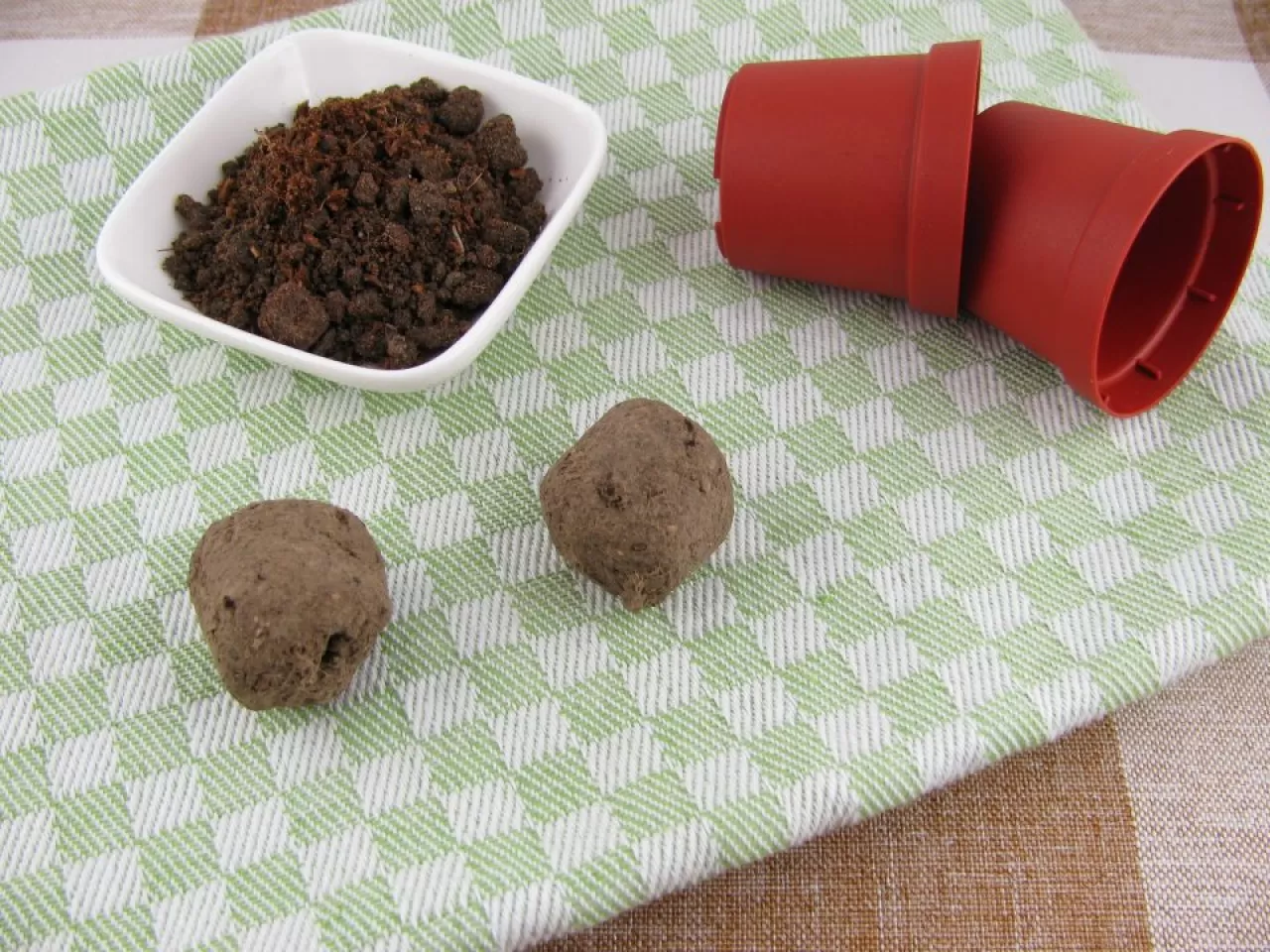 Tohum Topları Nasıl Ekilmelidir?