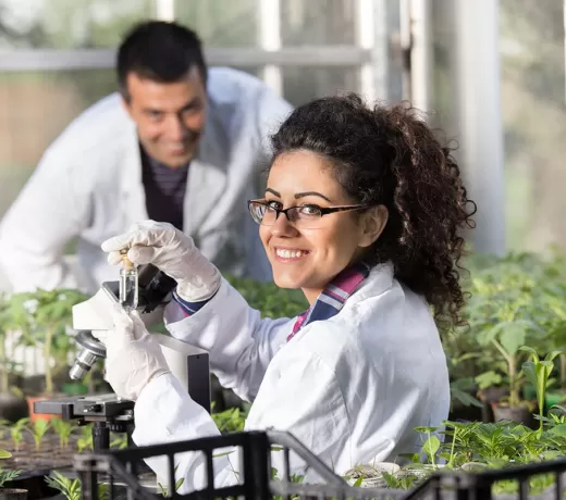 Tarımsal Genetik Mühendisliği Amacı ve Çalışma Alanları