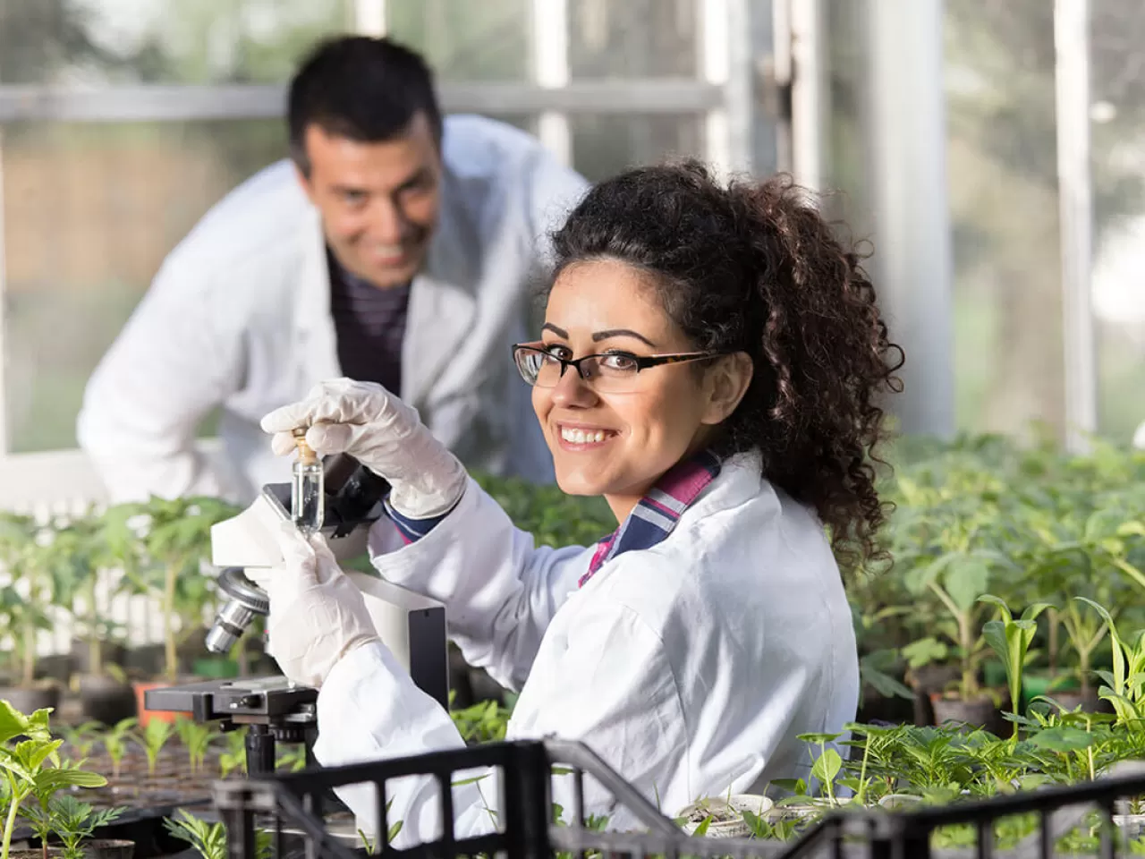 Tarımsal Genetik Mühendisliği Amacı ve Çalışma Alanları