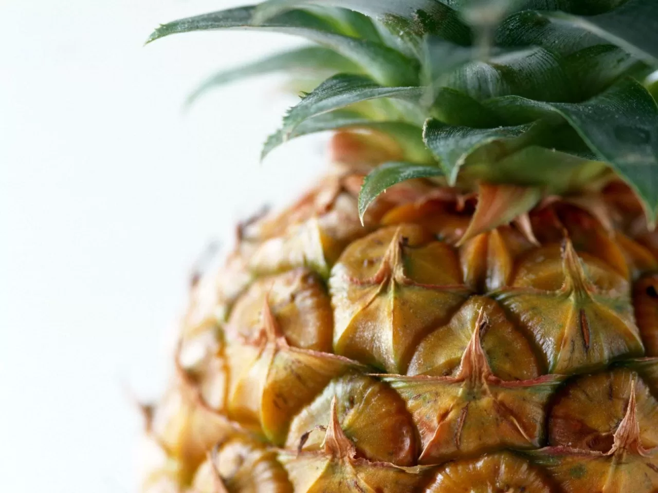 Ananas