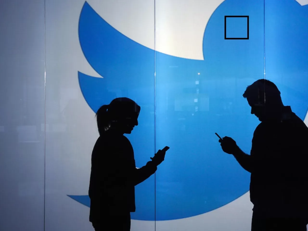 Twitter Mavi Tik Başvurusu Nasıl Yapılır?