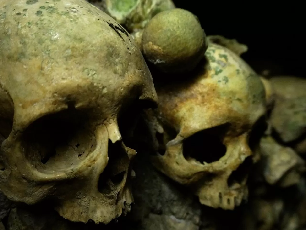 13.000 Yıllık İnsan Kafatası