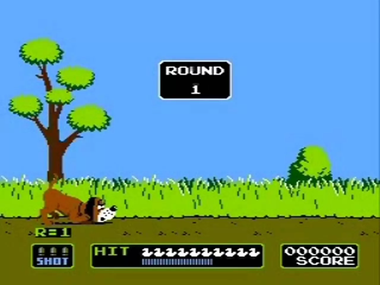 Duck Hunt