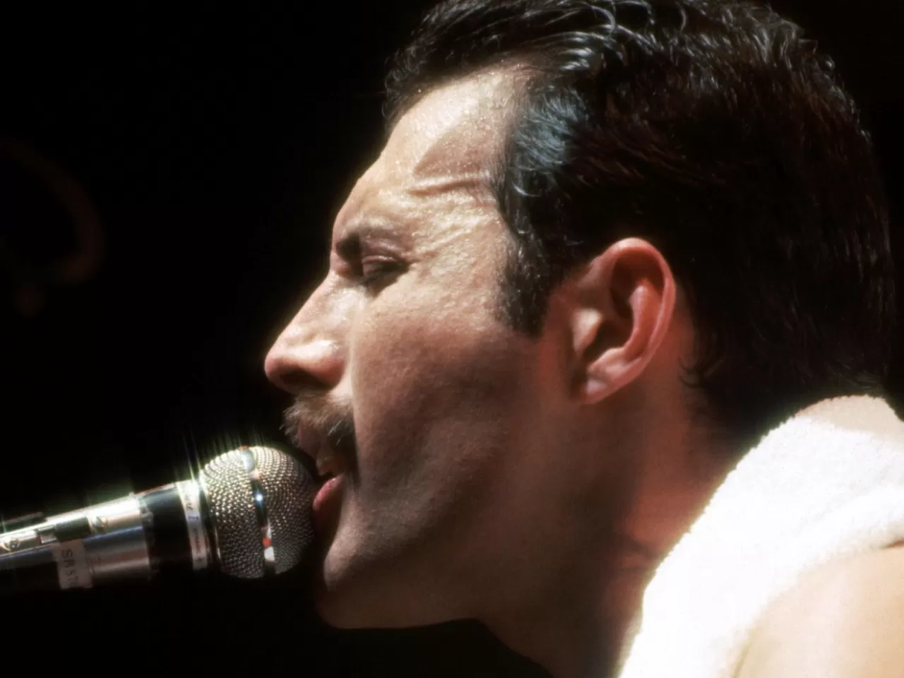 Freddie Mercury