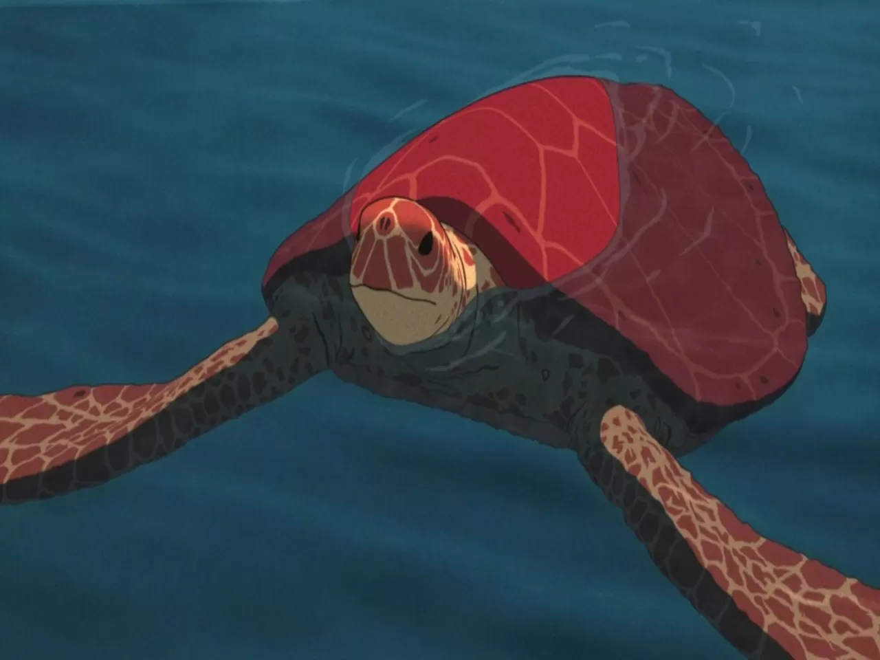 Kırmızı Kaplumbağa