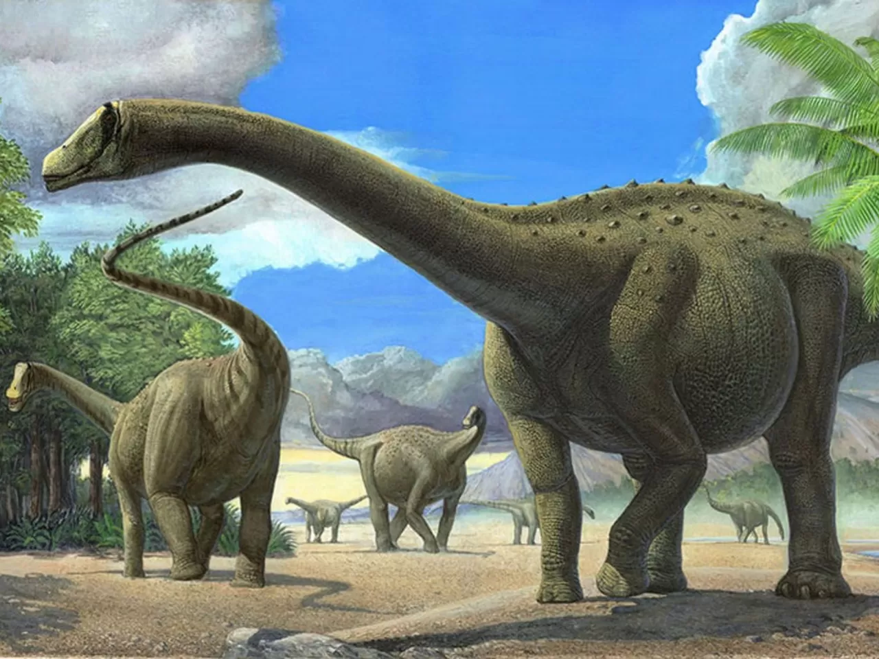 150 Milyon Yıldan Fazla Süre İçerisinde Dinozorlar Gelişti