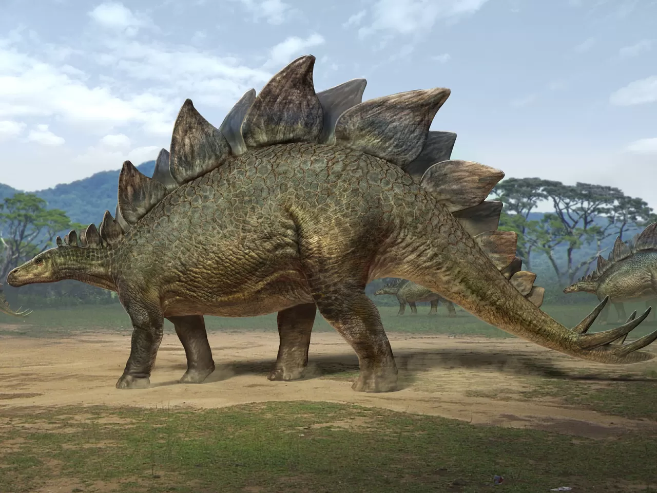 Tüm Dinozorlar Eşit Derecede Aptal Değildi