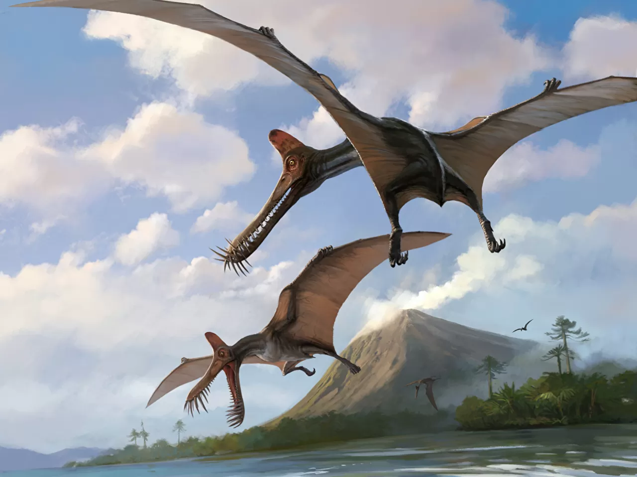 Pterosaurlar ve Deniz Sürüngenleri Teknik Olarak Dinozor Değildi