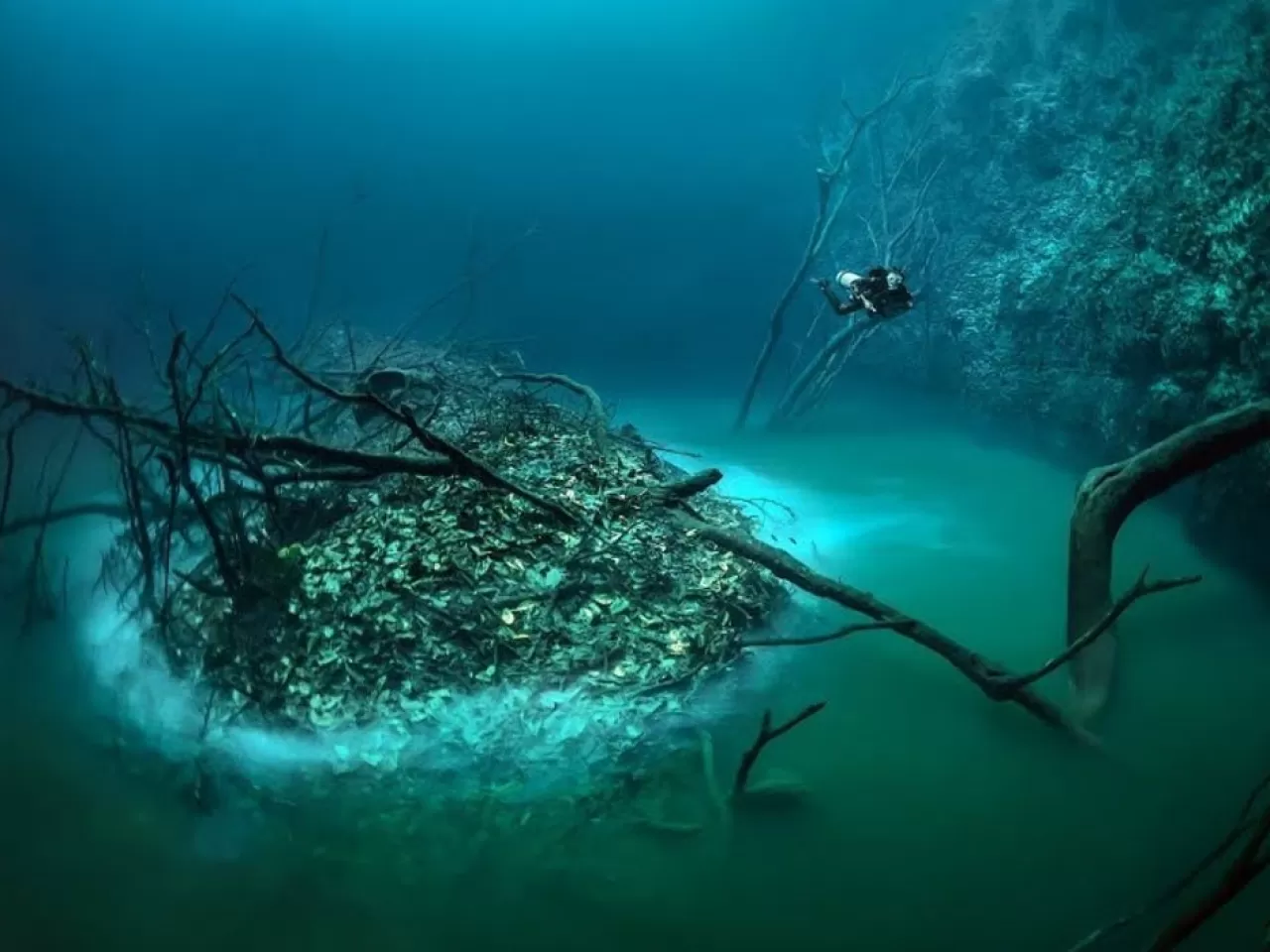 Озеро в море под водой. Сенот Ангелита. Река Сенот Ангелита. Сенот Ангелита Мексика. Подводная река Мексика Анхелита.