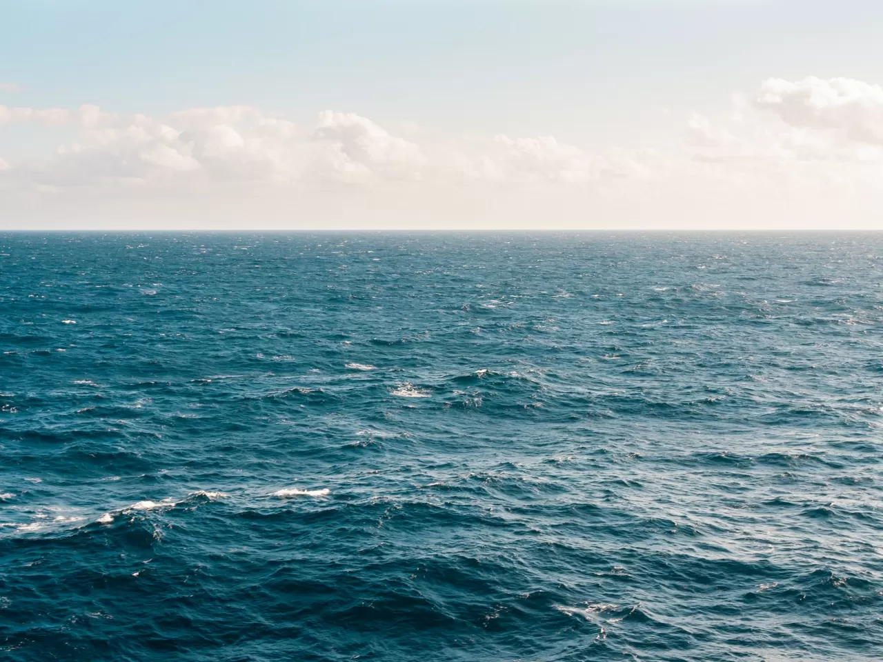 Oksijen Kaynağımızın Büyük Çoğunluğunu Okyanuslara Borçluyuz!