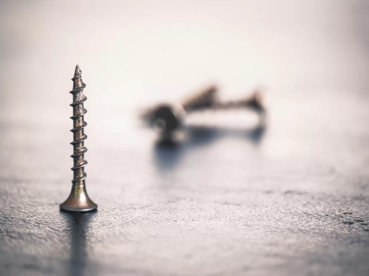 Tayvan Dünyanın ‘Vidalı’ Başkentleri Arasındadır