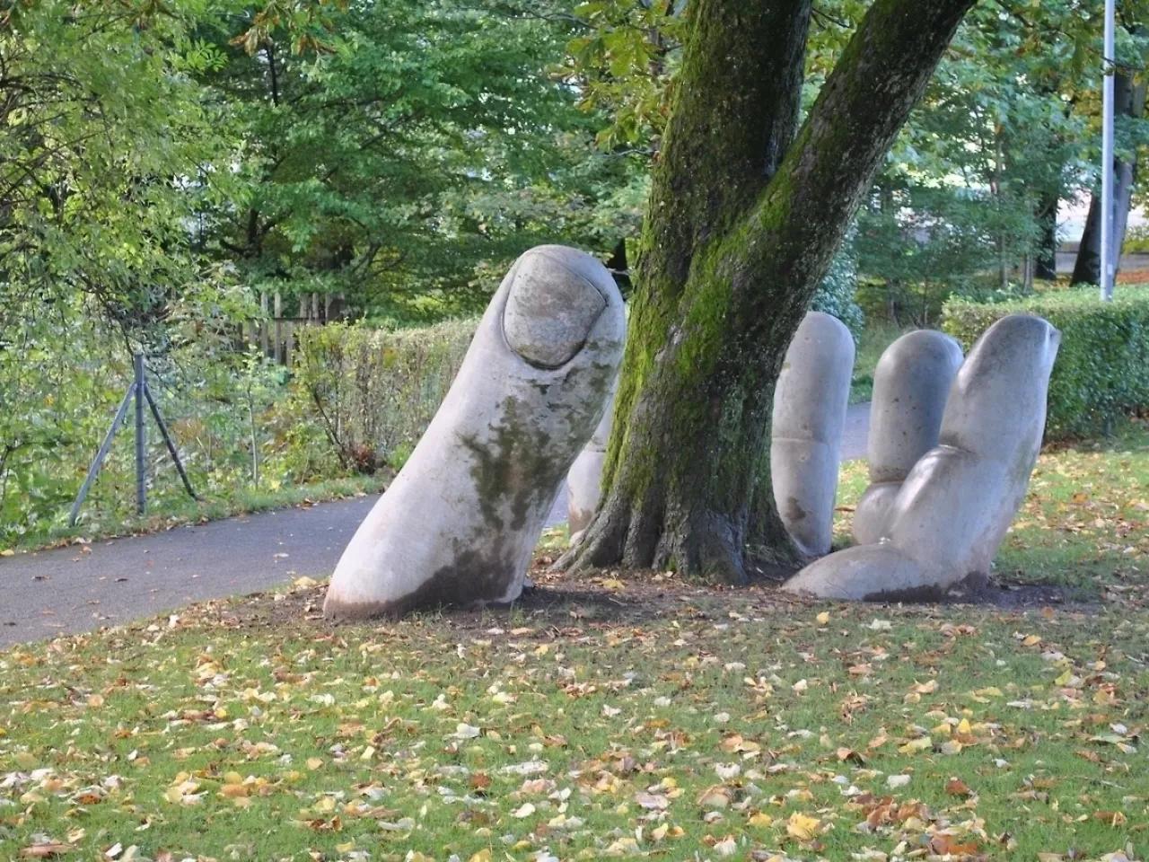 The Caring Hand of Glarus