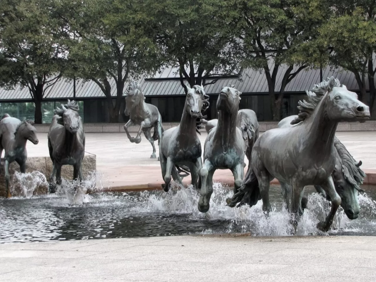 The Mustangs of Las Colinas - Teksas