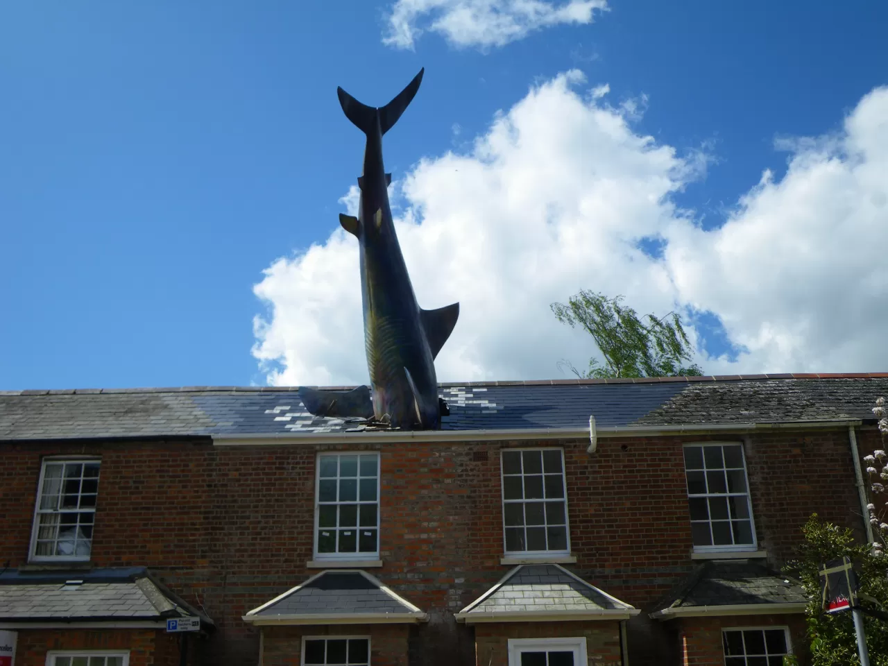 The Headington Shark/Falling Shark