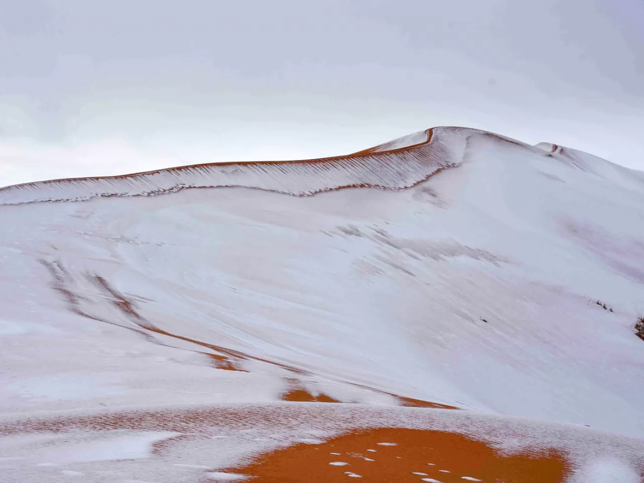 Sahra Çölü ve Kar Maceraları