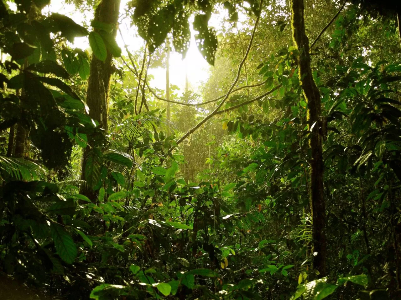 İklim Değişikliği Süreci