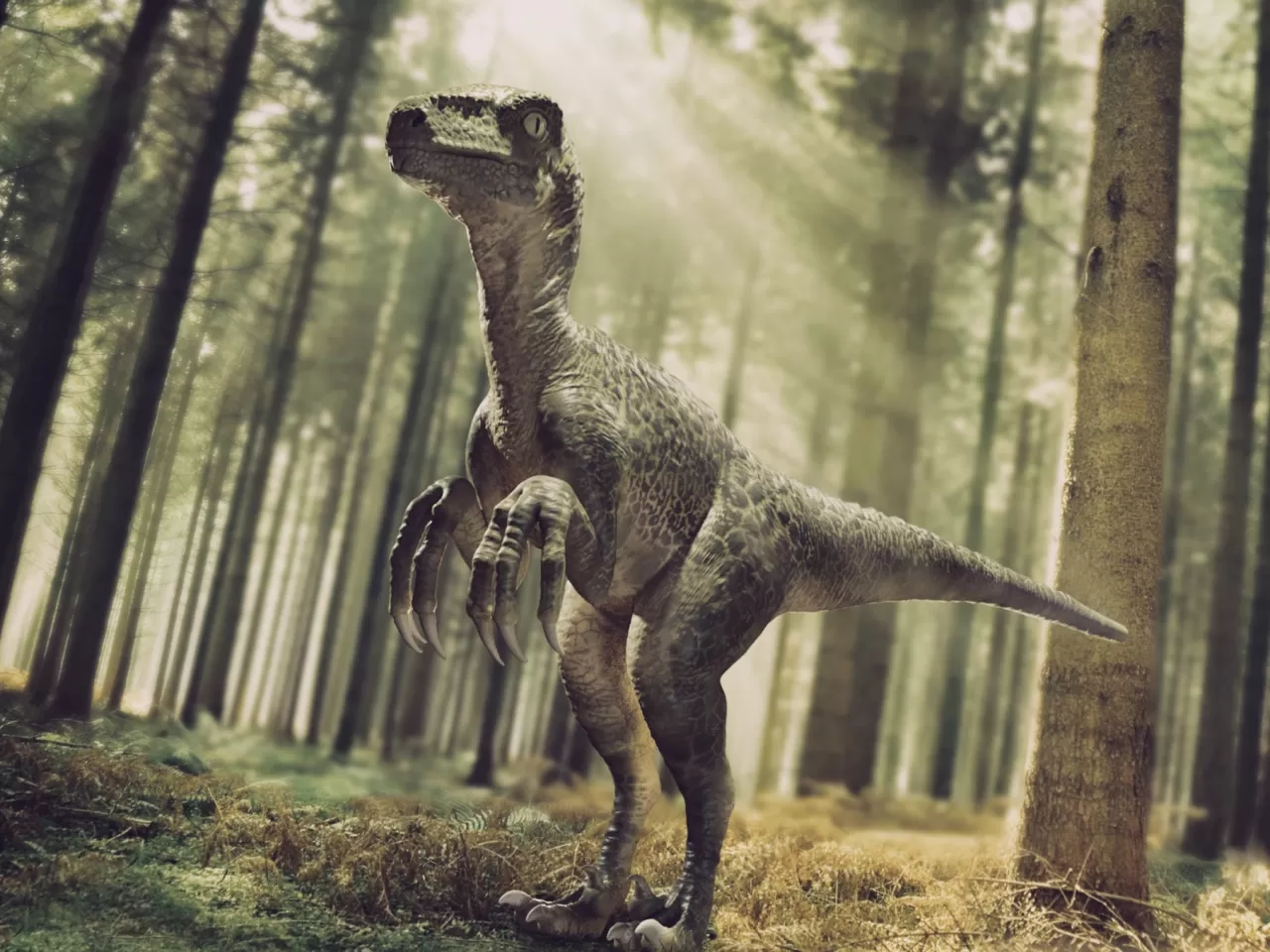 Sahra Çölü'nün Dinozorları