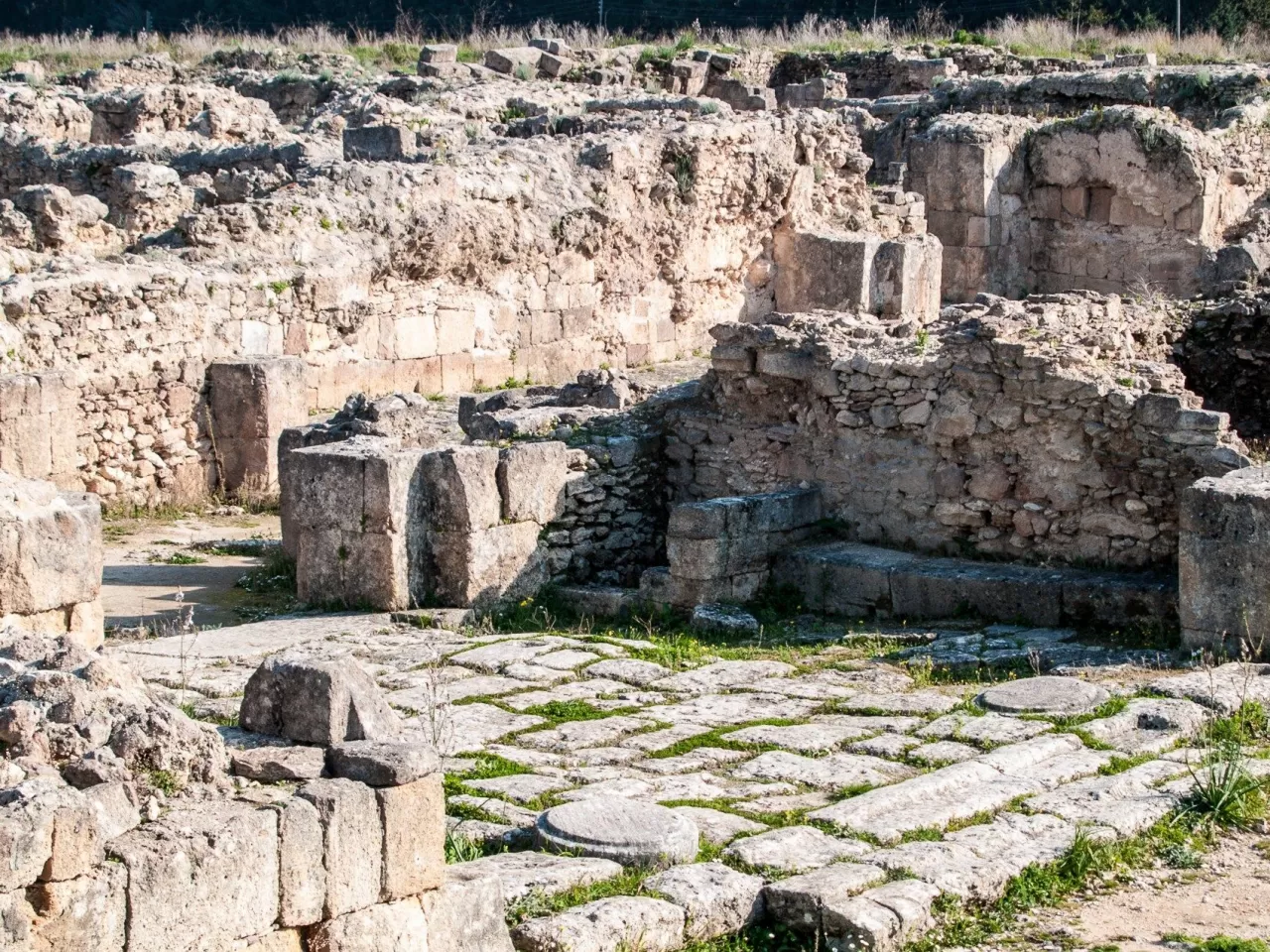 Ugarit Kütüphaneleri