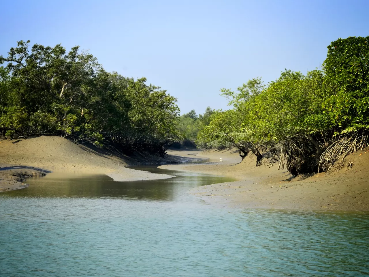 Sundarbans, Asya