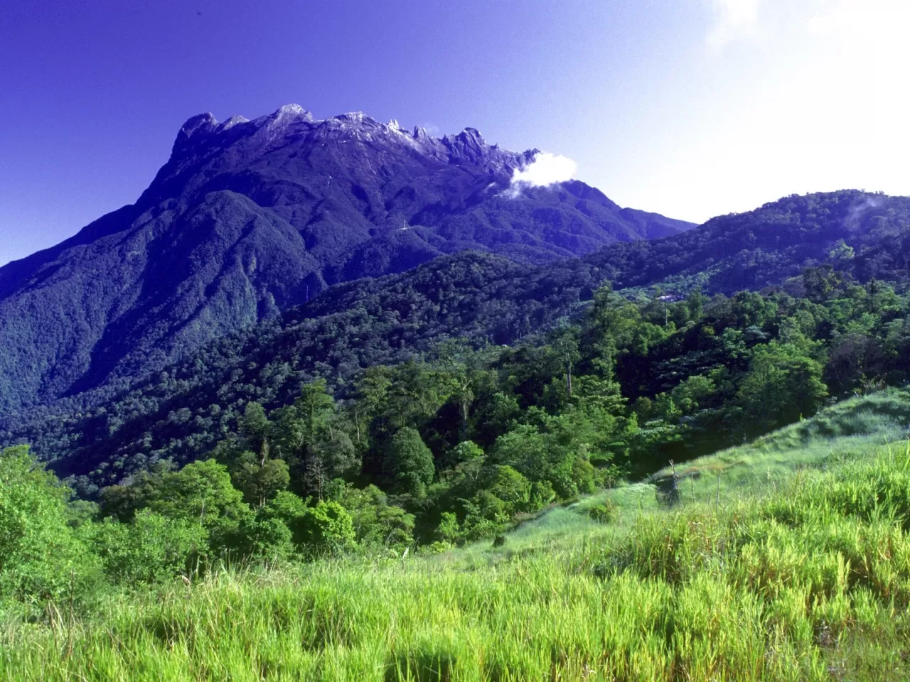 Kinabalu Ulusal Parkı, Asya