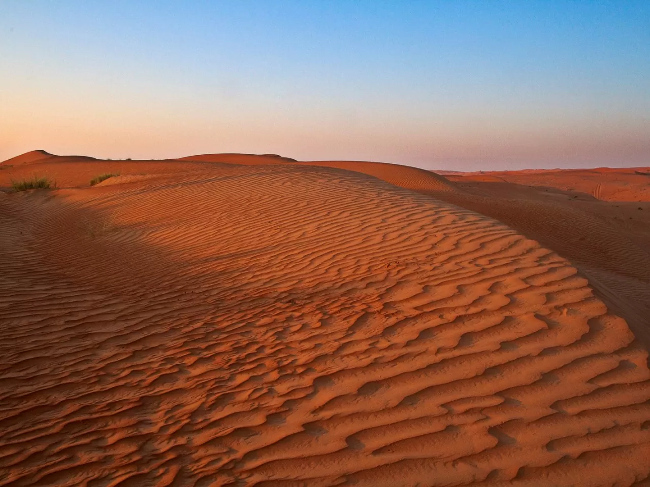 Пески Каракумы Туркменистан