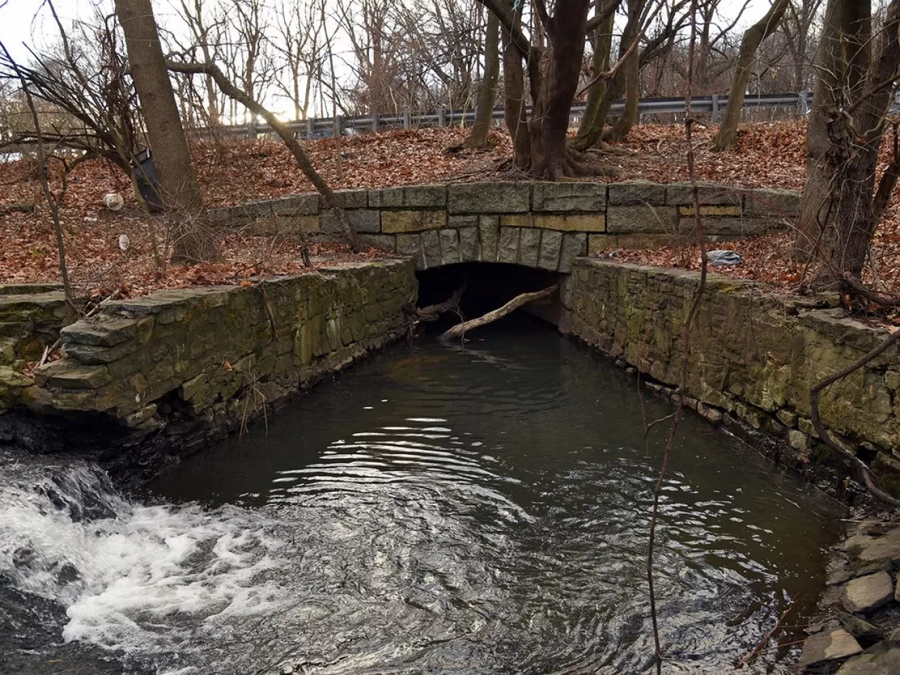 Tibbetts Çayı, New York