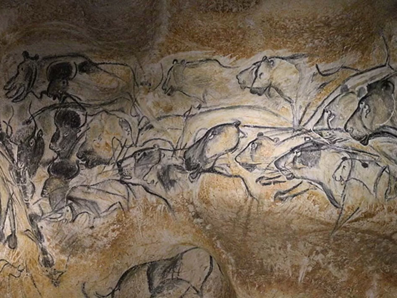 Chauvet Mağarası (Fransa)