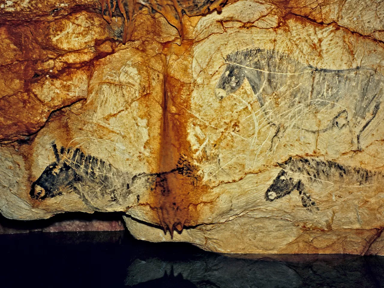 Cosquer Mağarası (Fransa)