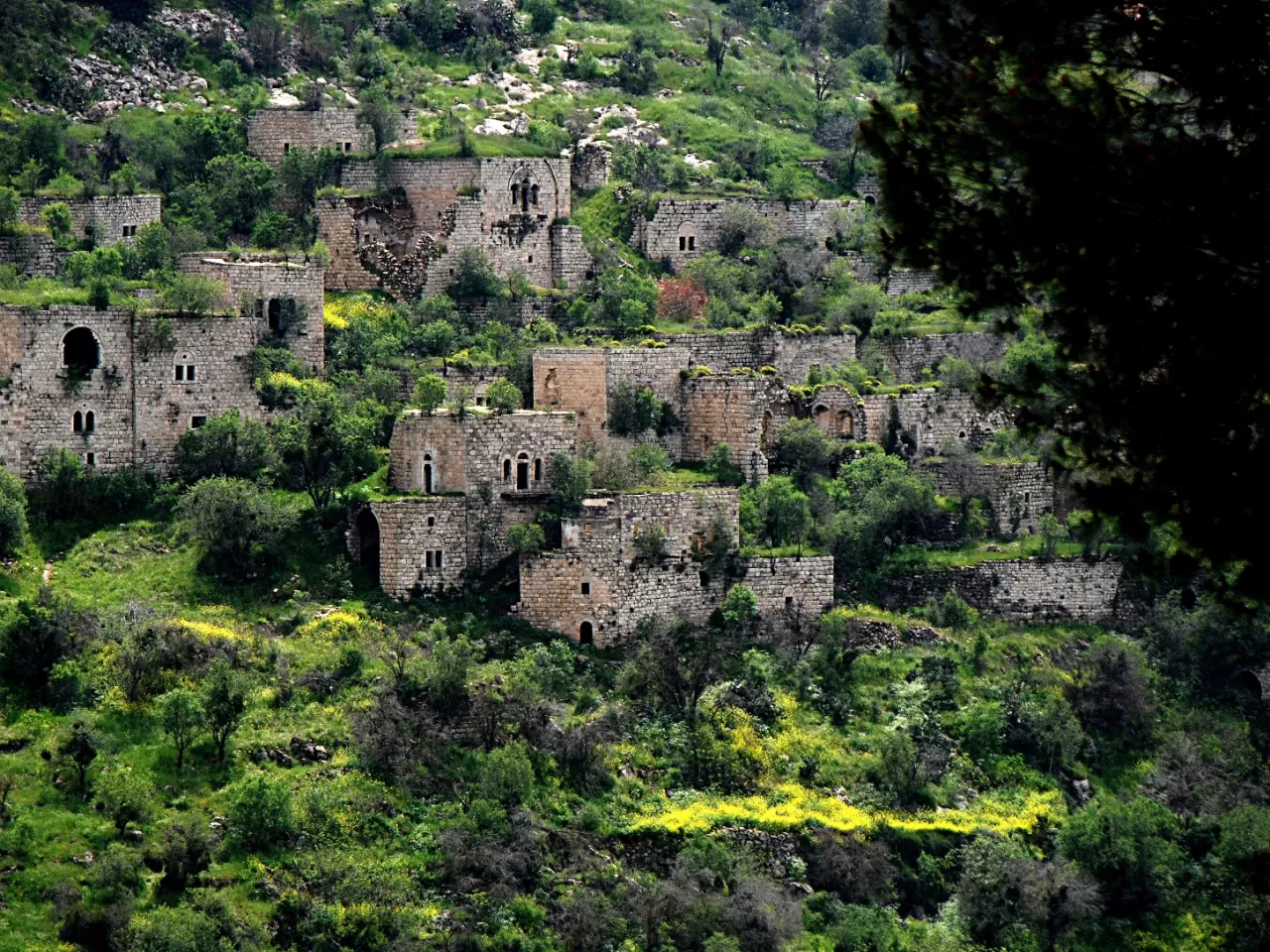 Lifta, İsrail