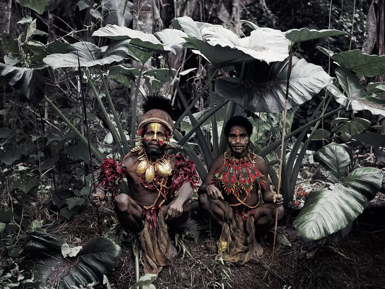 Tacana ya da Toromonas Kabilesi (Bolivya)