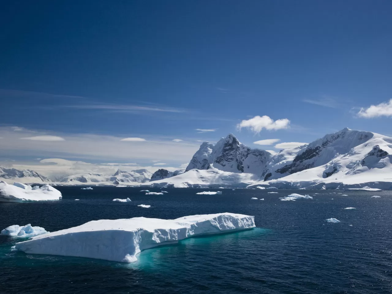 Antarktika Yarımadası, Dünya Üzerinde En Hızlı Isınan Alanlardan Biridir