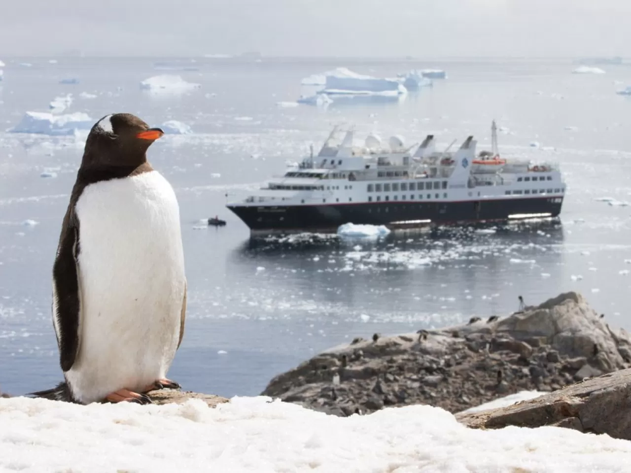Antarktika Antlaşması Bulunur