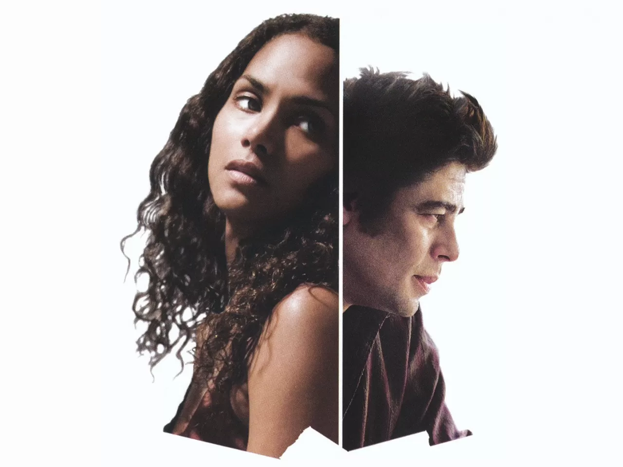 Things We Lost in The Fire