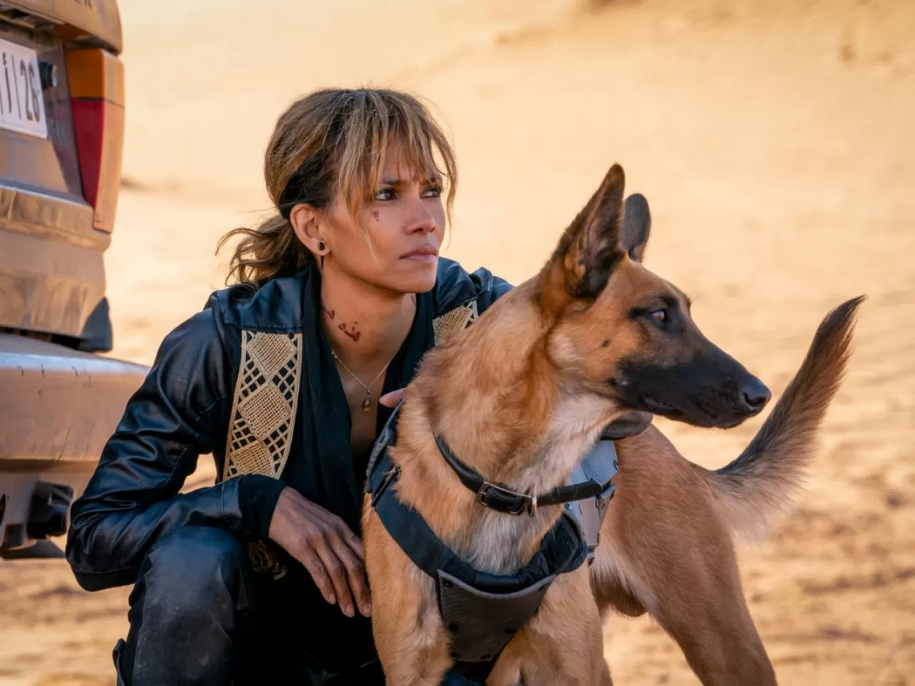 John Wick Chapter 3: Parabellum