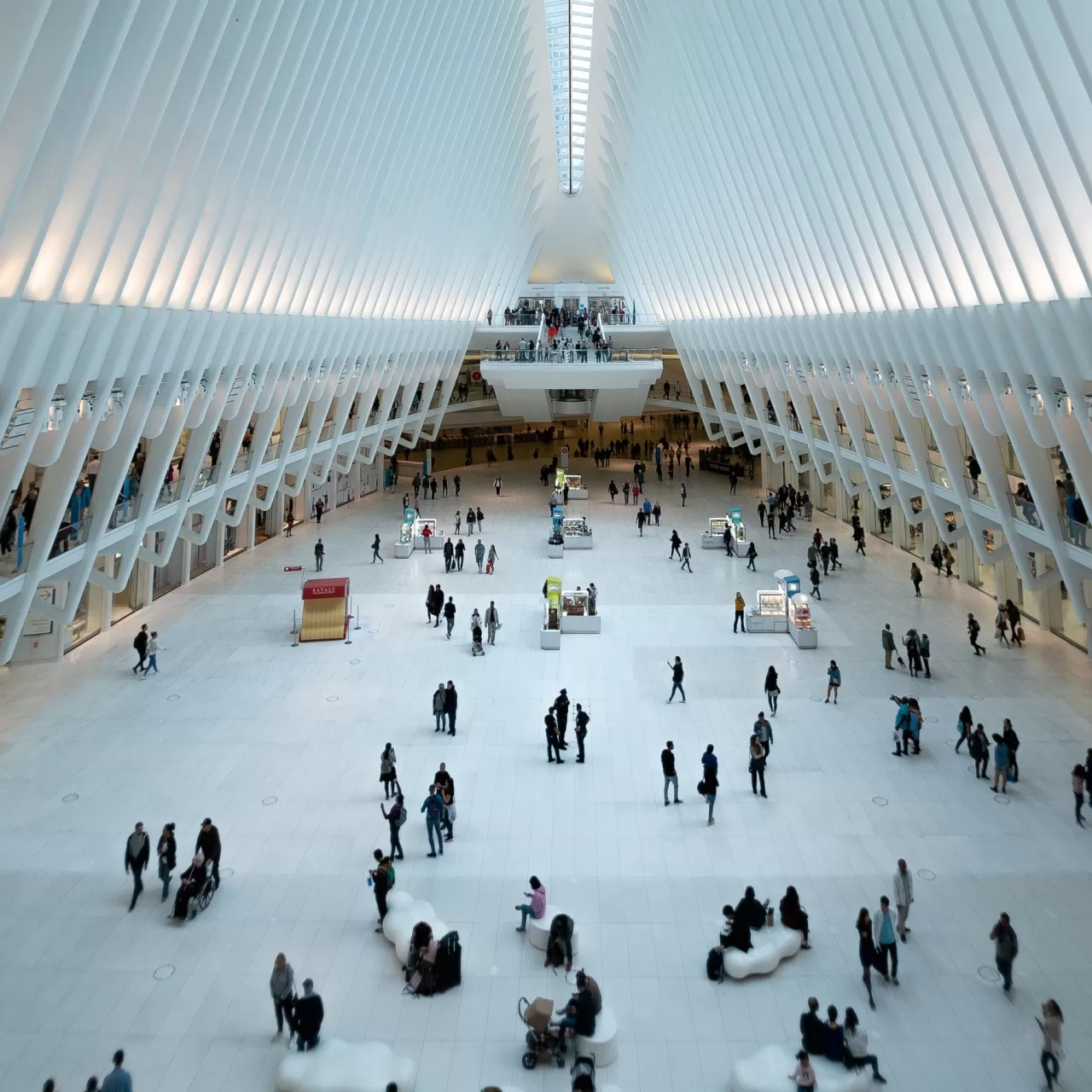 Havayollarının Mail Listeleri