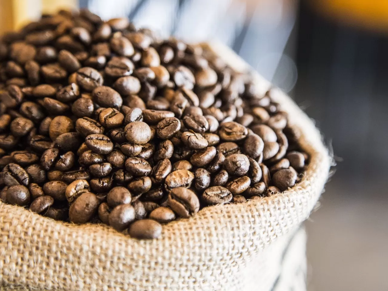 Antik Etiyopya Tarihi ve Kahvenin Keşfi