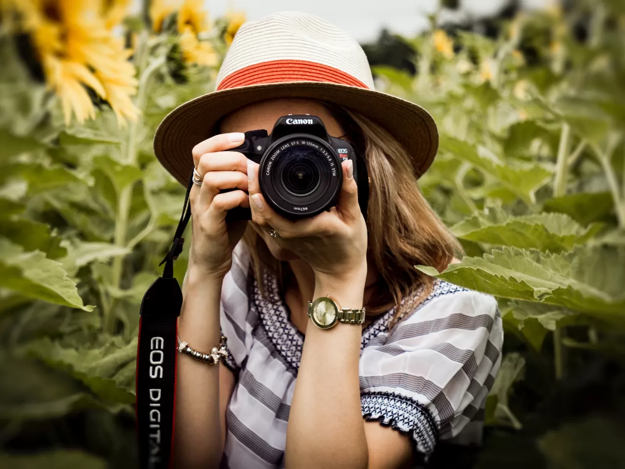 Stok Fotoğrafçılığı Nedir?