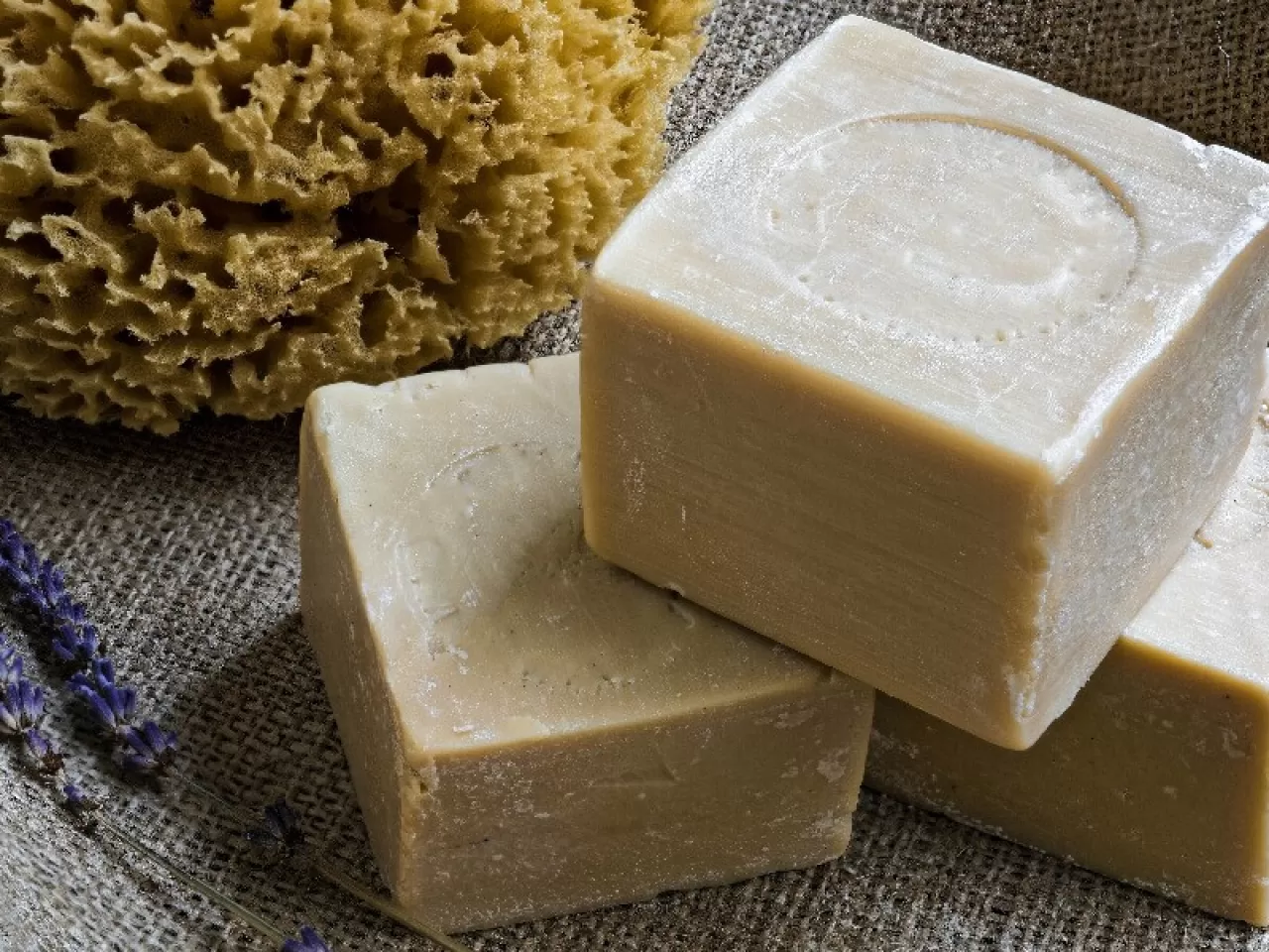 Eşek Sütünün Yapısında Hangi Maddeler Bulunur?