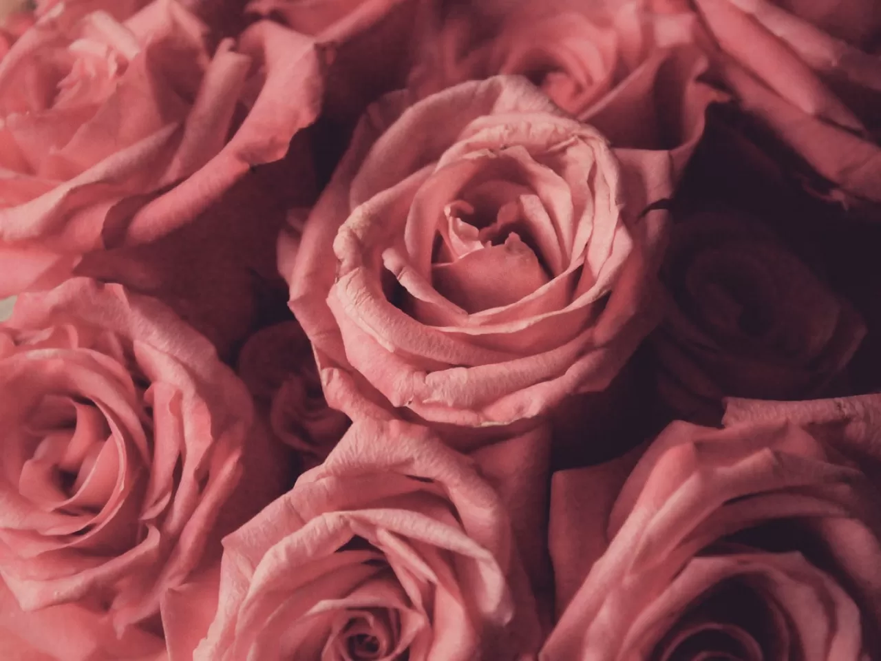 Sevgililer Günü Ne Anlama Geliyor?