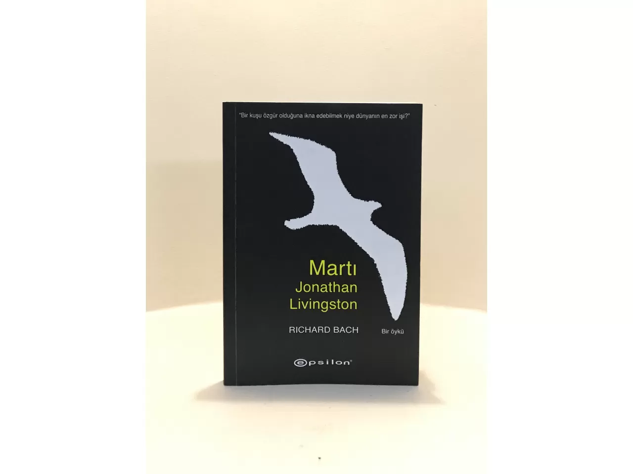 Martı Jonathan Livingston