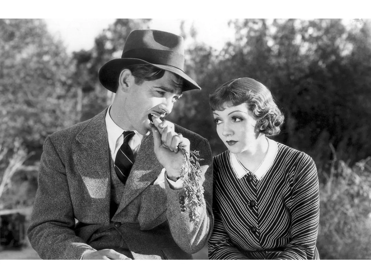 Bir Gecede Oldu (It Happened One Night)