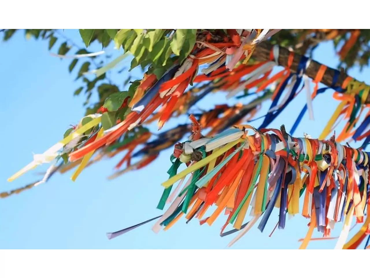 Hıdrellez Dilek Kağıtları Su Yoksa Ne Yapılır?